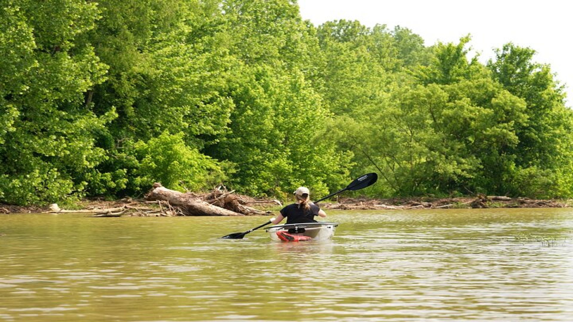 Small Group Clear Kayak Tour of Old Hickory Lake