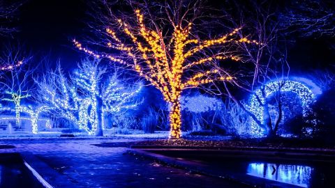 Franklin’s Festive Lights Spectacular A Christmas Wonderland Tour