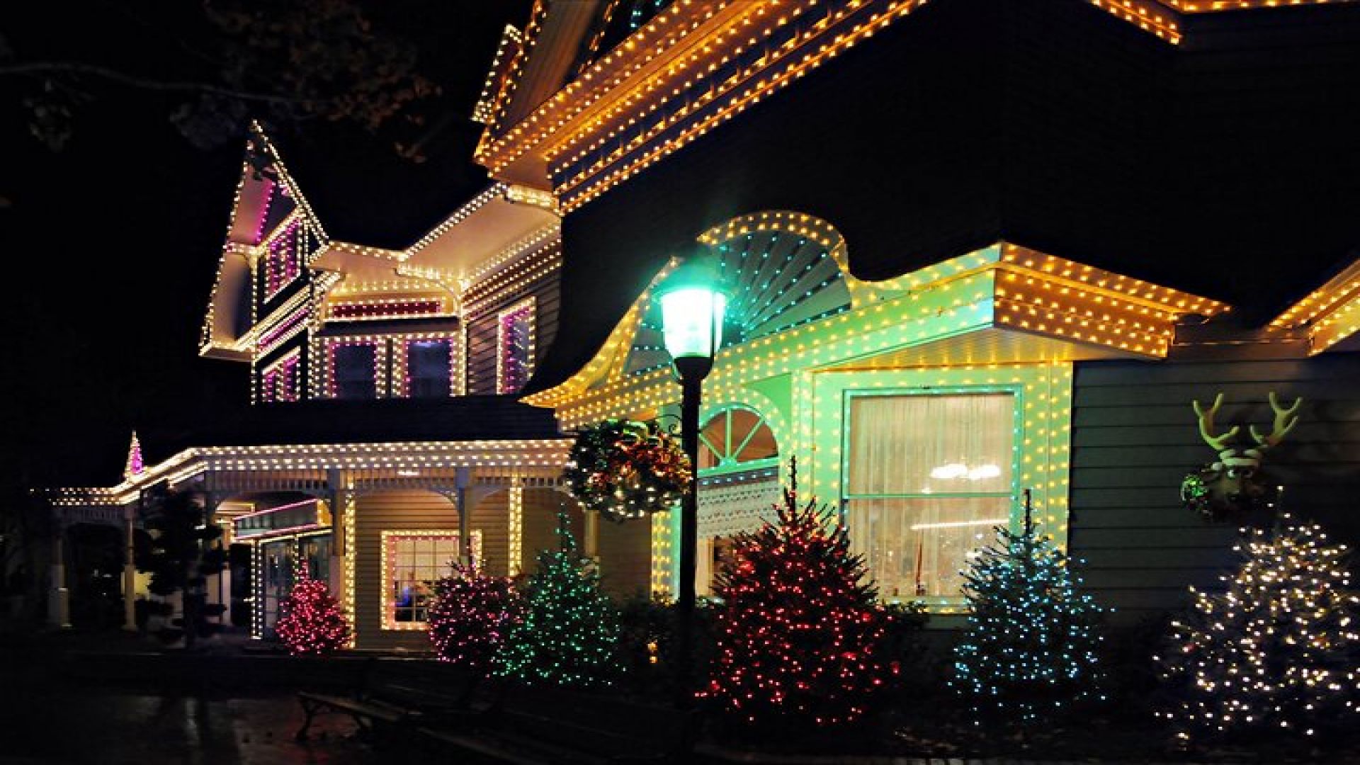 Franklin’s Festive Lights Spectacular A Christmas Wonderland Tour