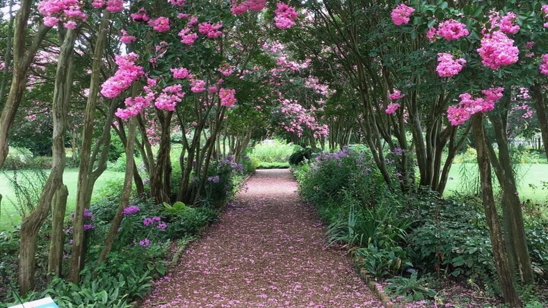 Private Andrew Jackson\'s Hermitage Tour 