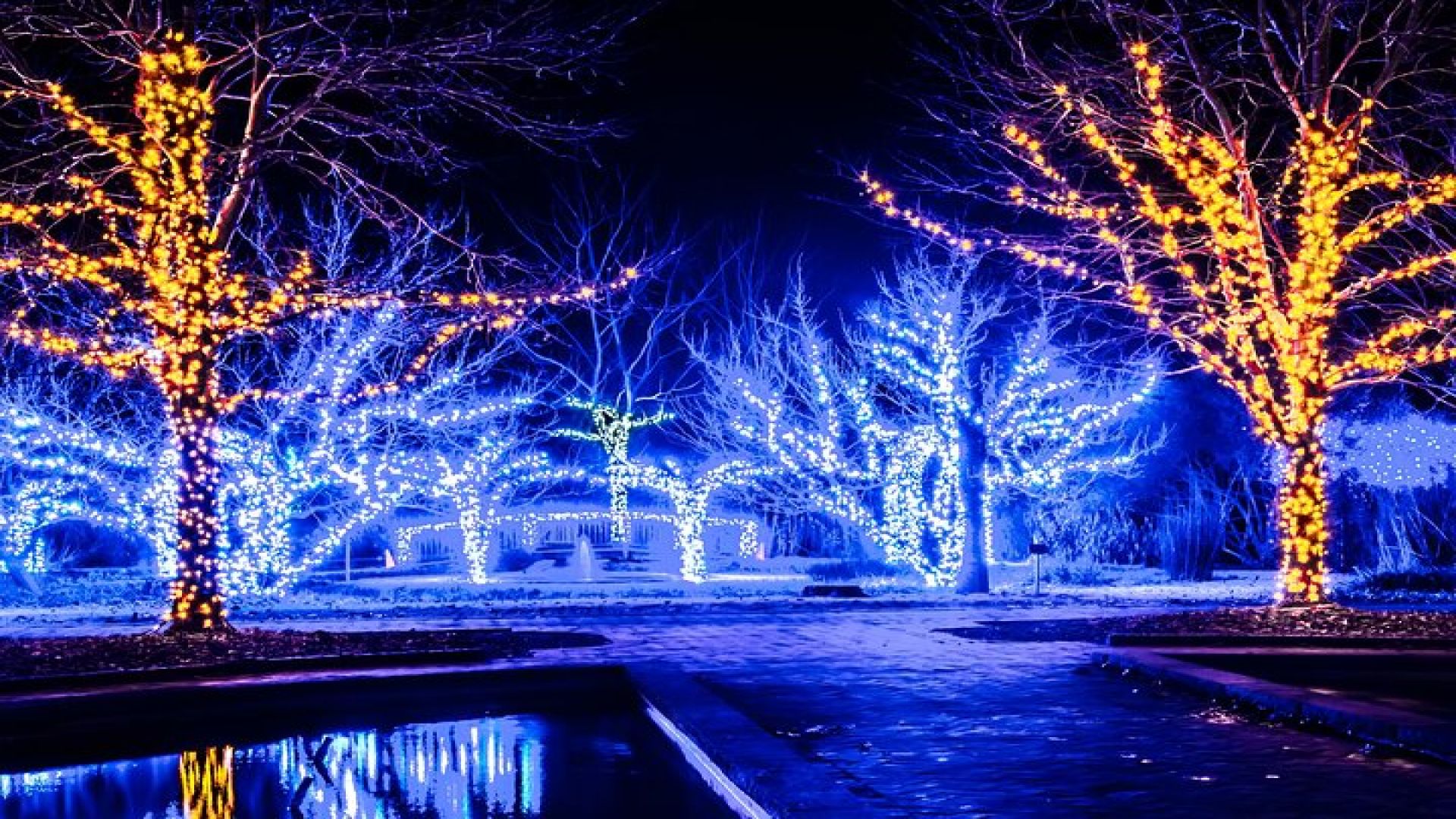 Private Enchanting Nashville Christmas Lights Tour 