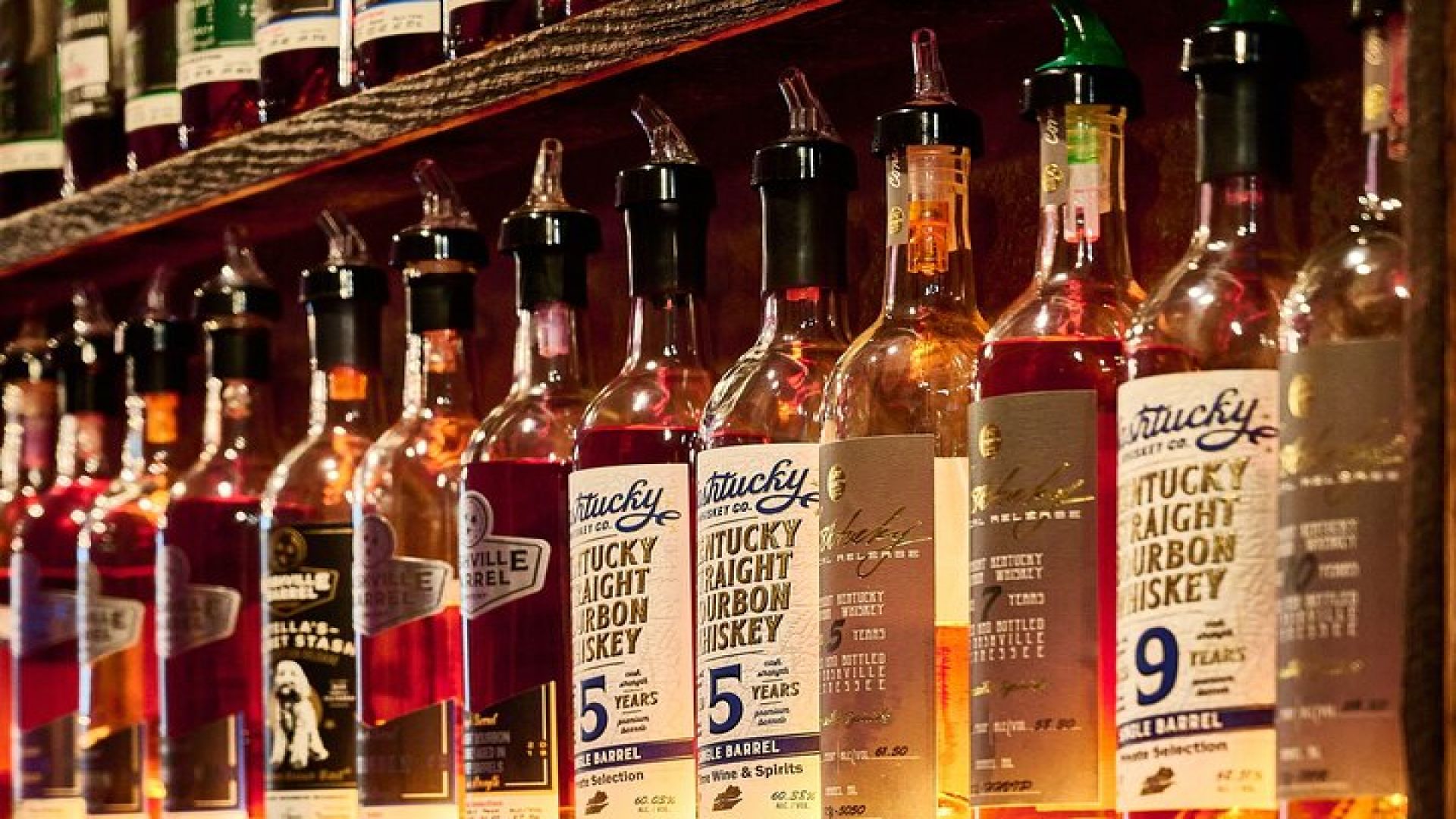 Historically Tipsy: A Music City Pub Crawl with VIP Access!