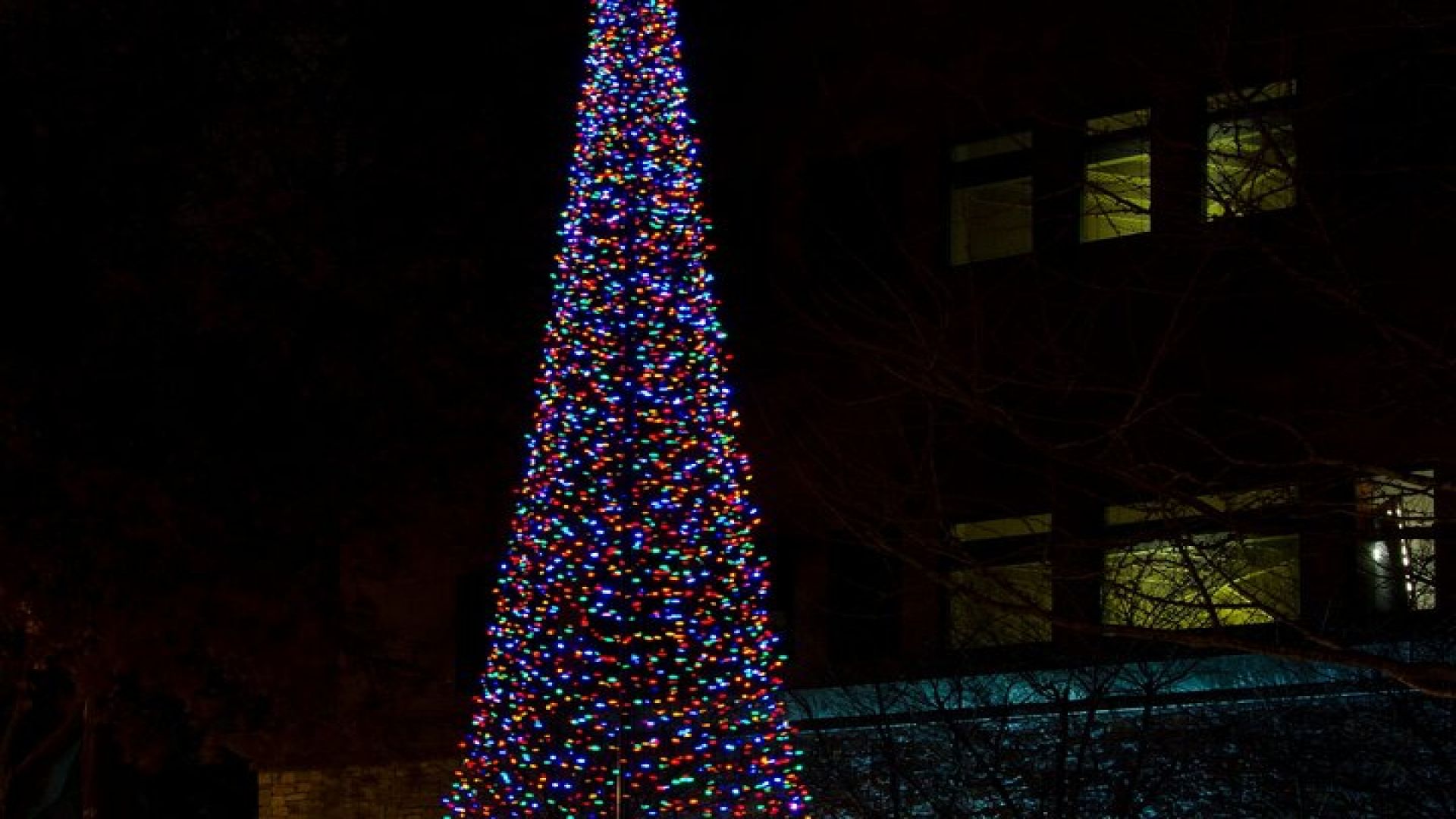 Nashville’s Holiday Harmony: A Private Christmas Melody Tour