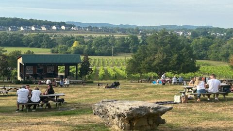 Private Arrington Wine and Franklin Dine Tour from Nashville