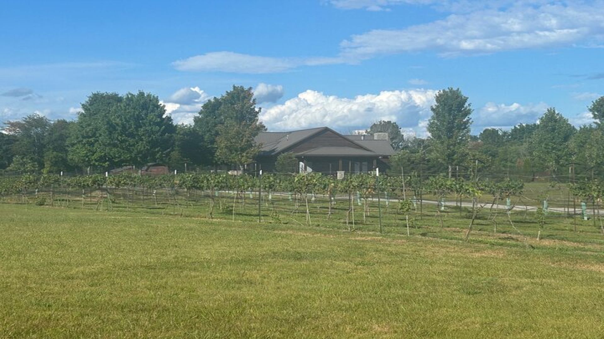 Arrington Wine and Franklin Dine Private Tour from Nashville