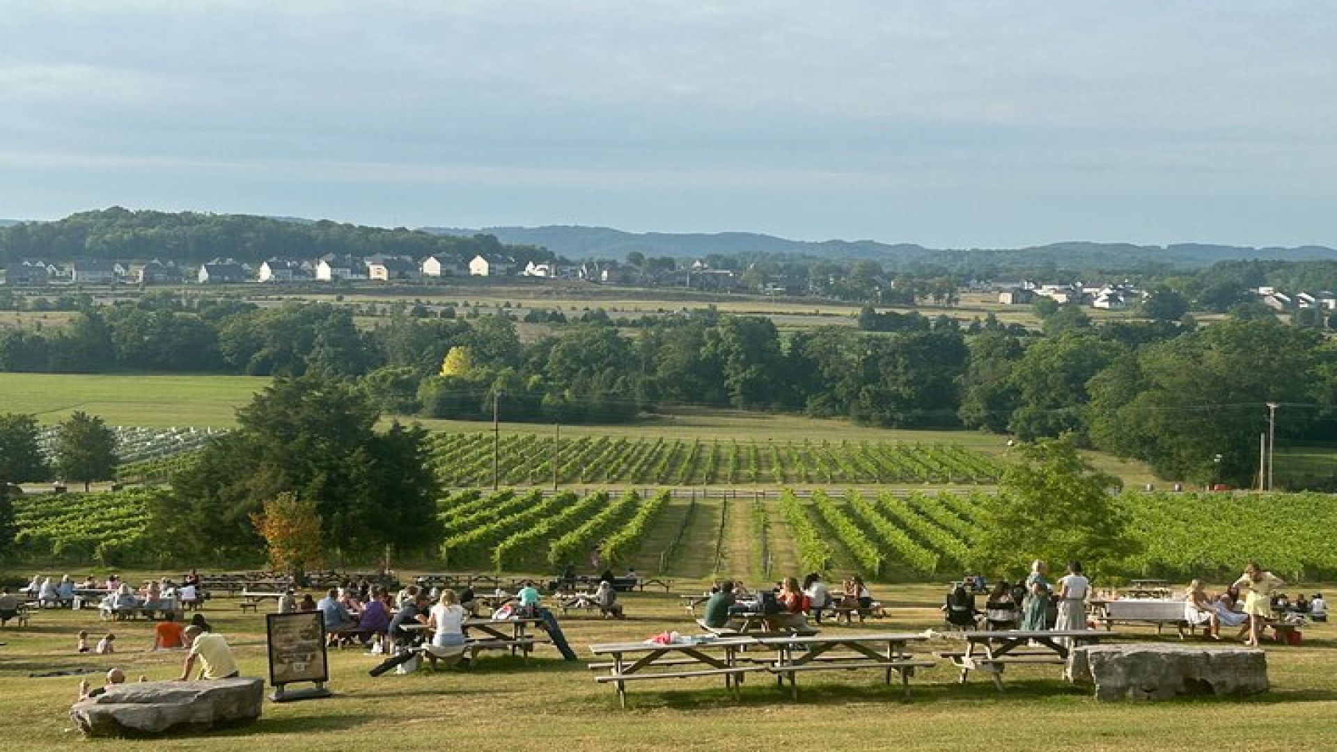 Private Arrington Wine and Franklin Dine Tour from Nashville