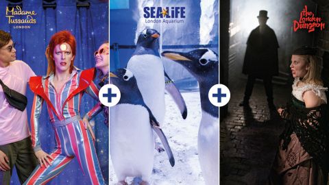 London Dungeon, SEA LIFE London & Madame Tussauds - 3 way ticket