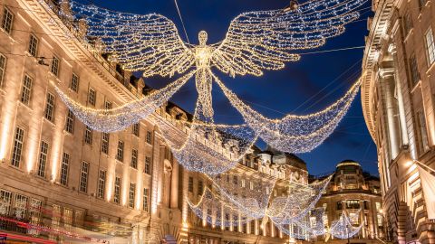 3–hour Christmas Lights Tour with Driver-Guide