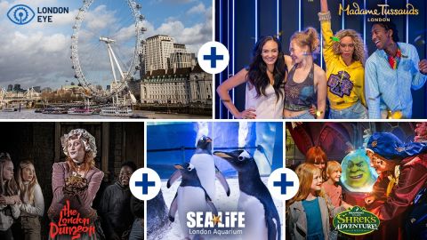Merlin's Magical London Pass - 5 way ticket