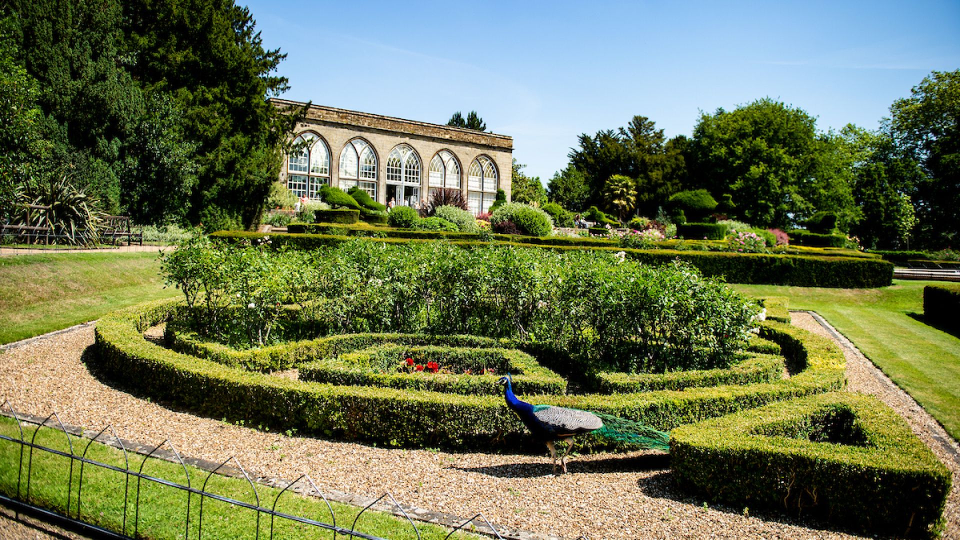 Warwick Castle, Shakespeare’s Birthplace Oxford & the Cotswolds (English)