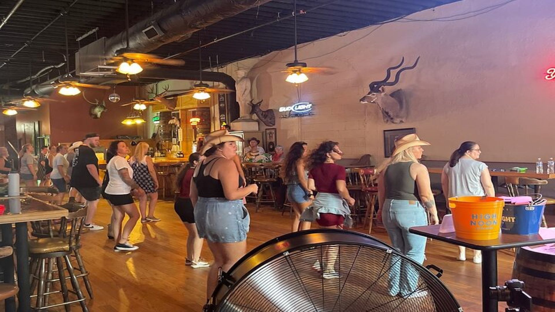 Instructor-Led Line Dancing Class with Souvenir Video