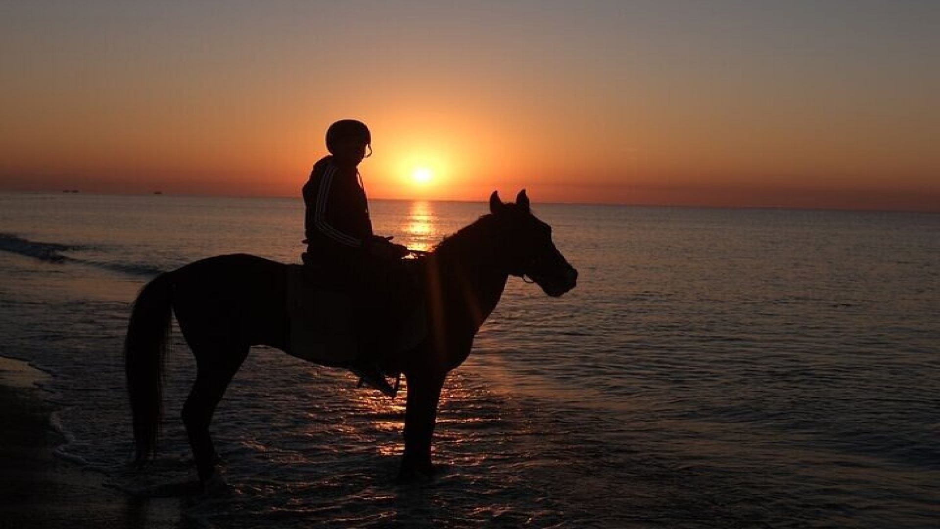 Adventurous Horse Riding in Antalya