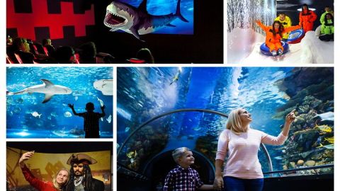 Antalya: Aquarium, Wax Museum & Combo Package Options