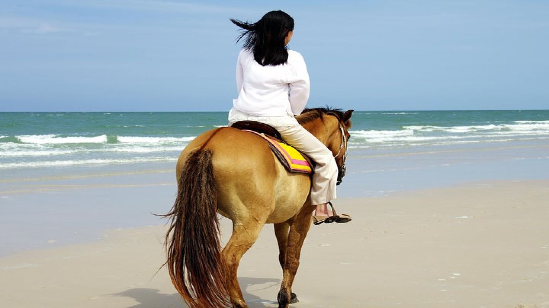  Horse Riding on the Beach in Side