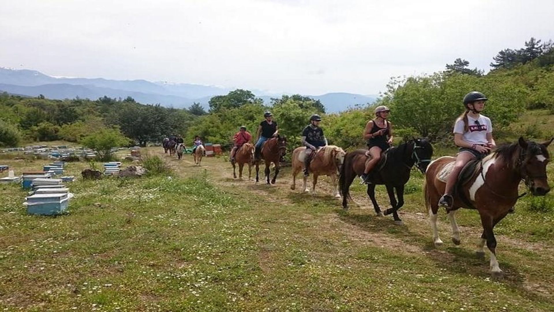 Alanya: Horseback Ride Through Nature near Syedra Ruins
