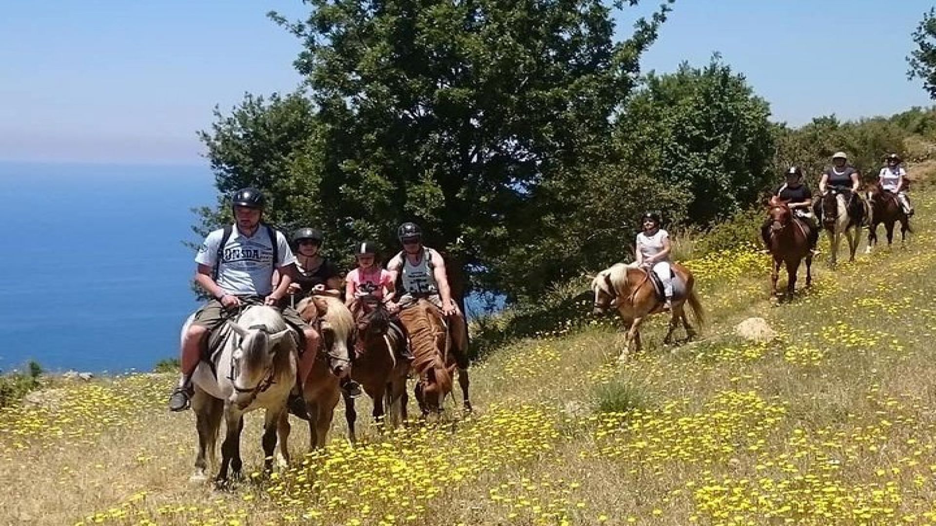 Alanya: Horseback Ride Through Nature near Syedra Ruins