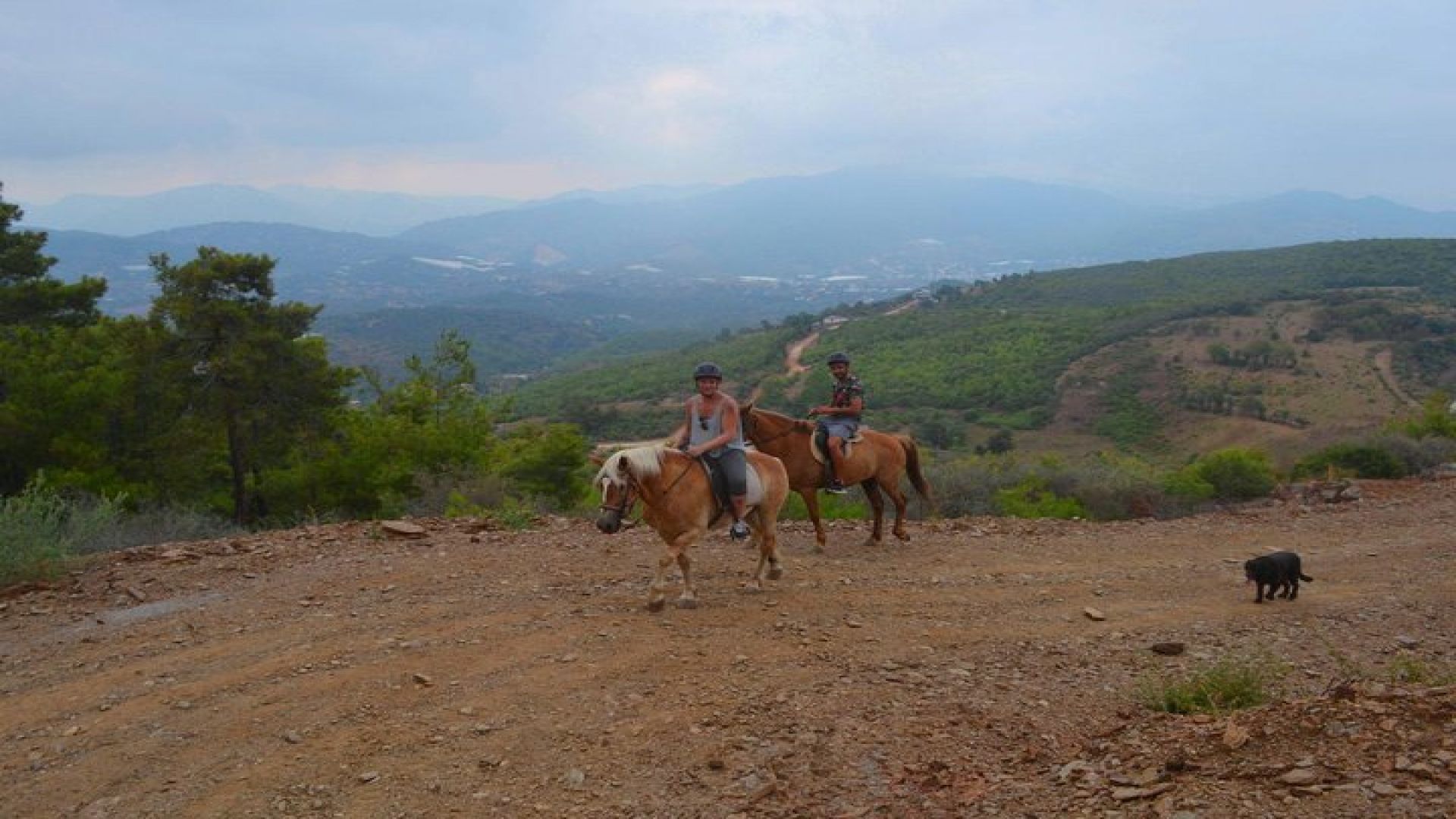 Alanya: Horseback Ride Through Nature near Syedra Ruins