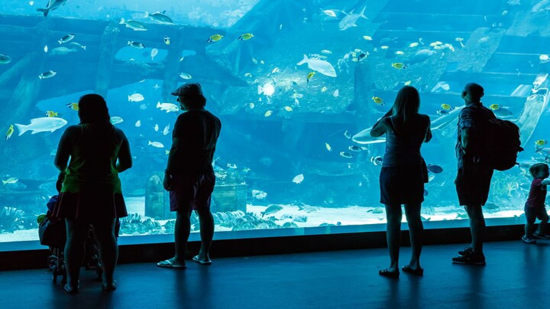 Antalya: Aquarium, Wax Museum & Combo Package Options