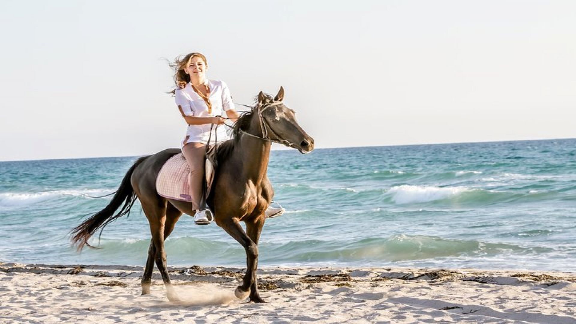 Bodrum Horseback Riding Experience with Hotel Transfer