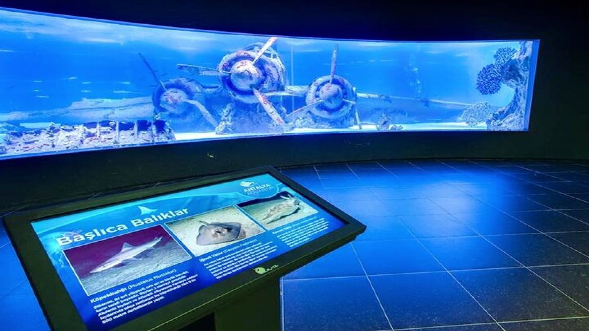  Antalya Aquarium Full-Day Trip
