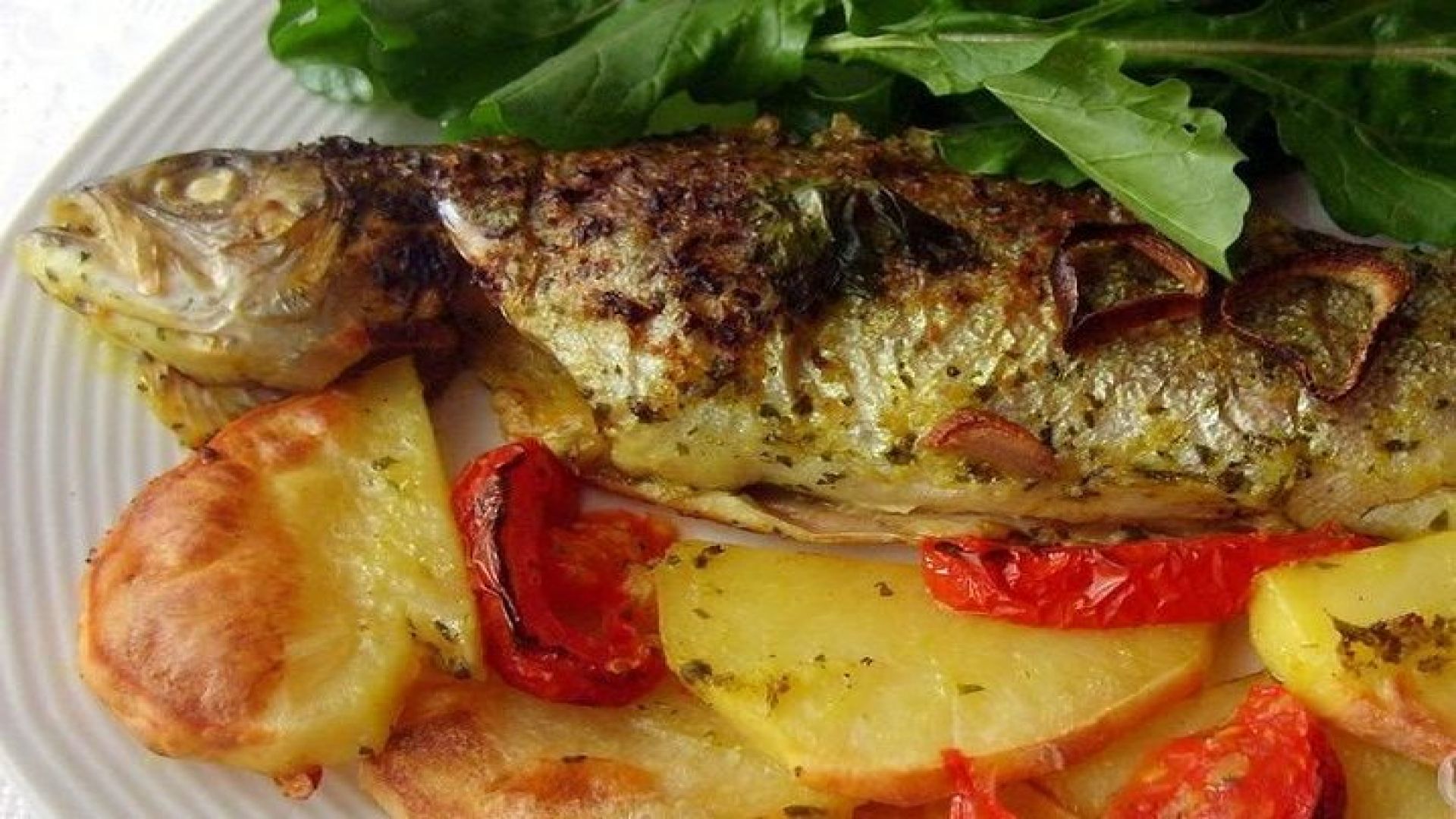 \"Side: Boat Adventure to Dolphin Island – Swim and Enjoy Lunch\"