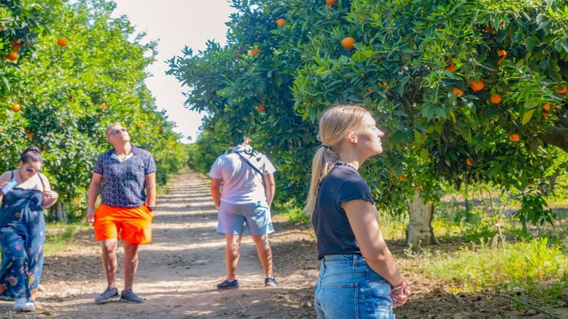 \"Side: 5-in-1 Green Canyon, Waterfalls & Ancient Sites Tour\"