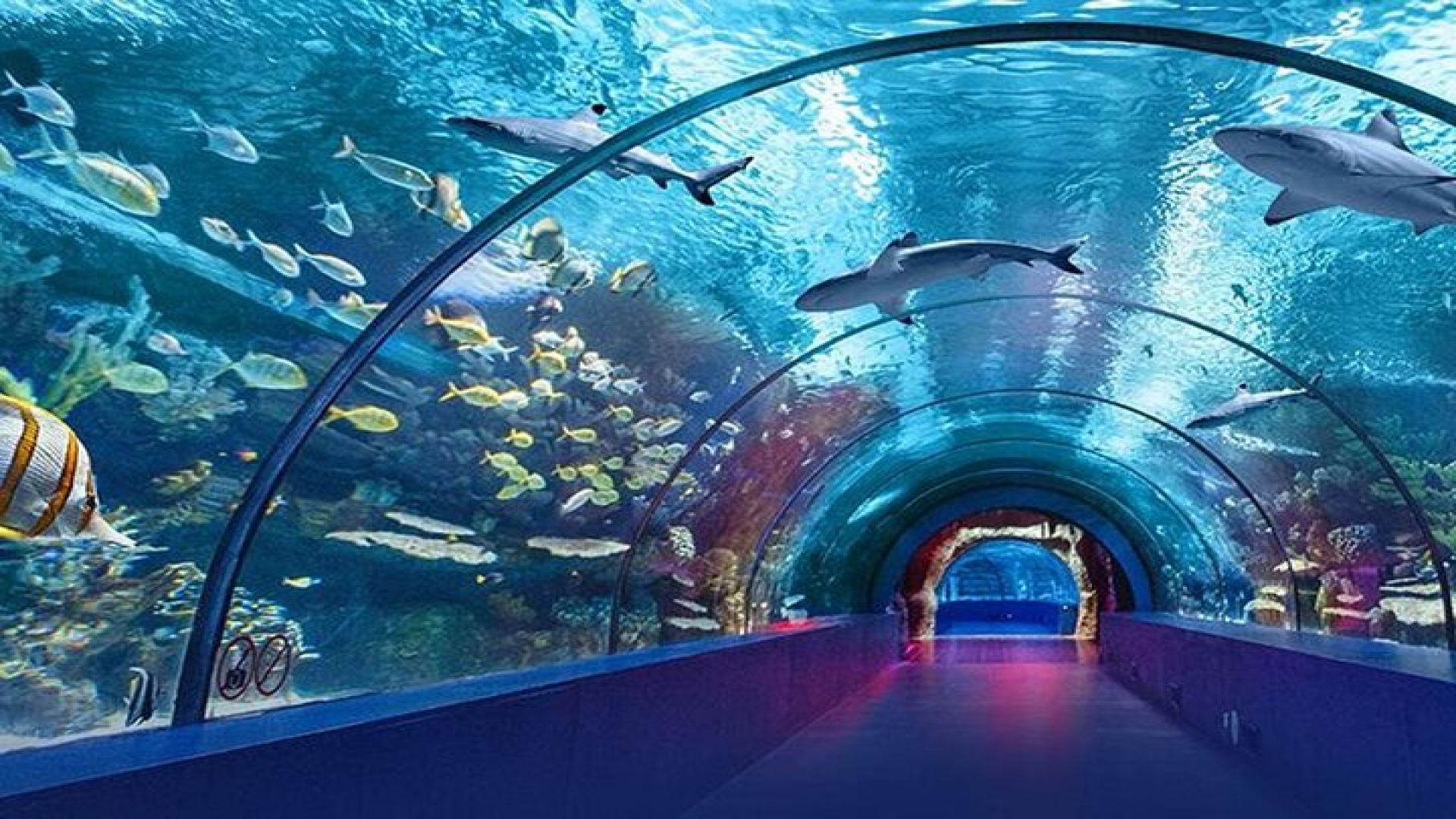 4-Hour Guided Antalya Aquarium Tour 