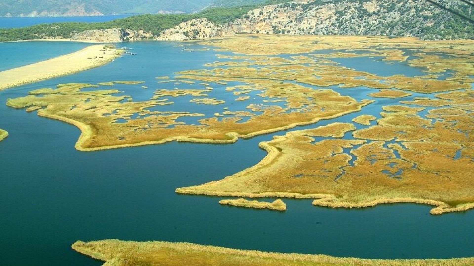 Dalyan Cruise, Turtle Beach and Mud Baths From Marmaris