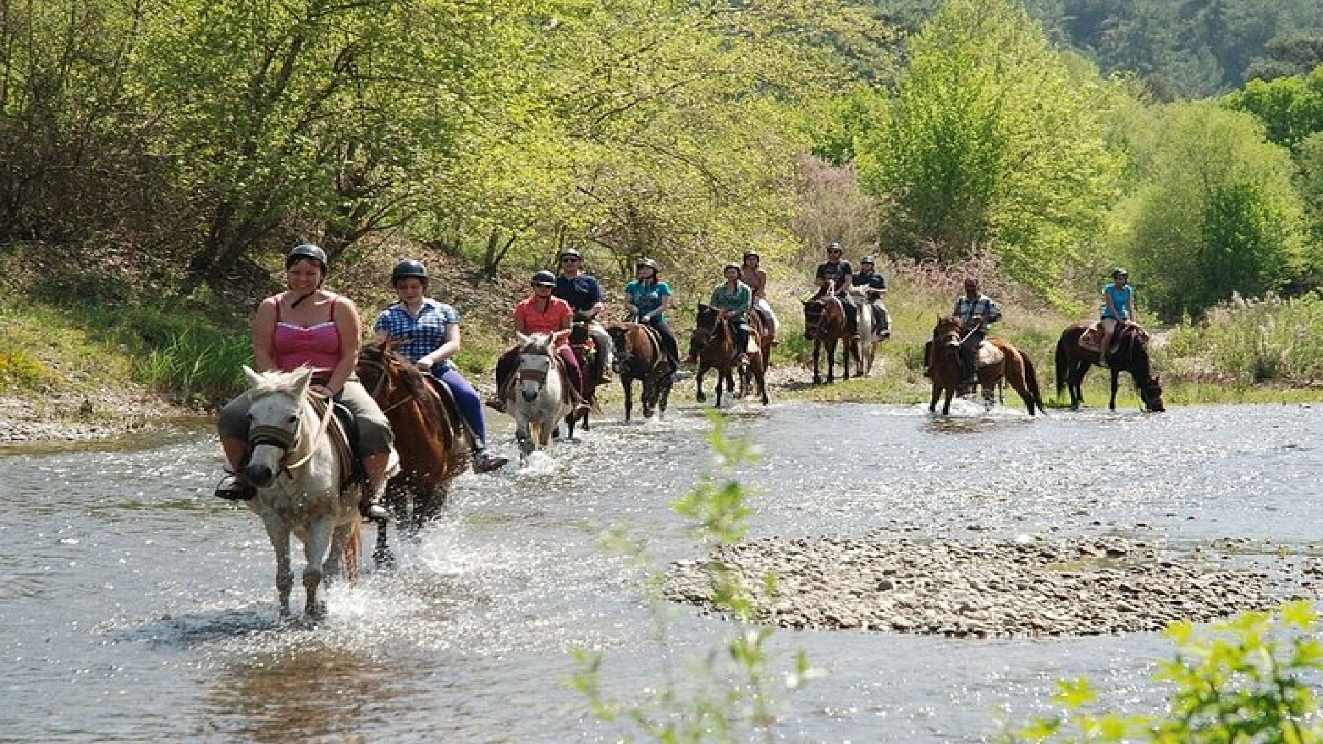 Bodrum Horse Riding Experience w/ Hotel Transfer Service