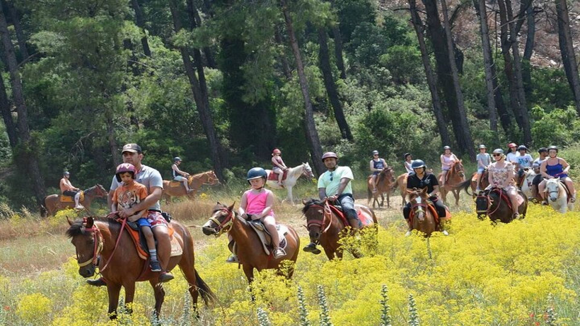 Bodrum Horse Riding Experience w/ Hotel Transfer Service