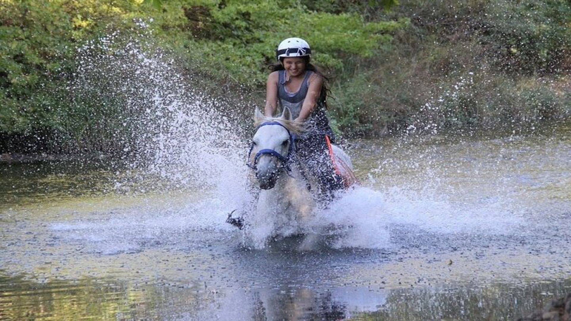 Bodrum Horse Riding Experience w/ Hotel Transfer Service