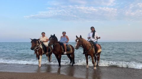 1 Hour Horse Riding in Antalya