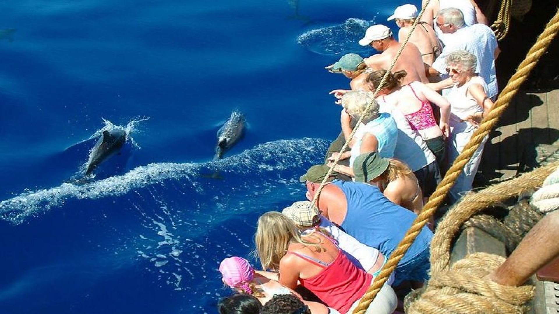 Alanya Catamaran Boat Tour with Sunbathing Swimming & Snorkelling