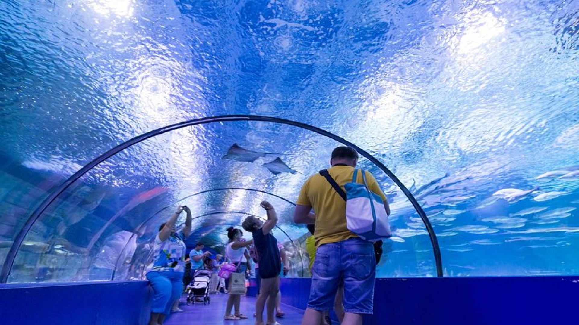 Antalya Aquarium Tour Platinium Tour