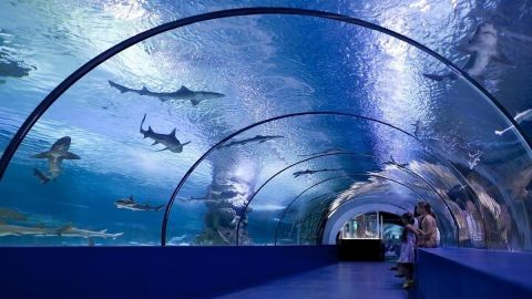Antalya Aquarium and Face to Face Wax Museum Ticket