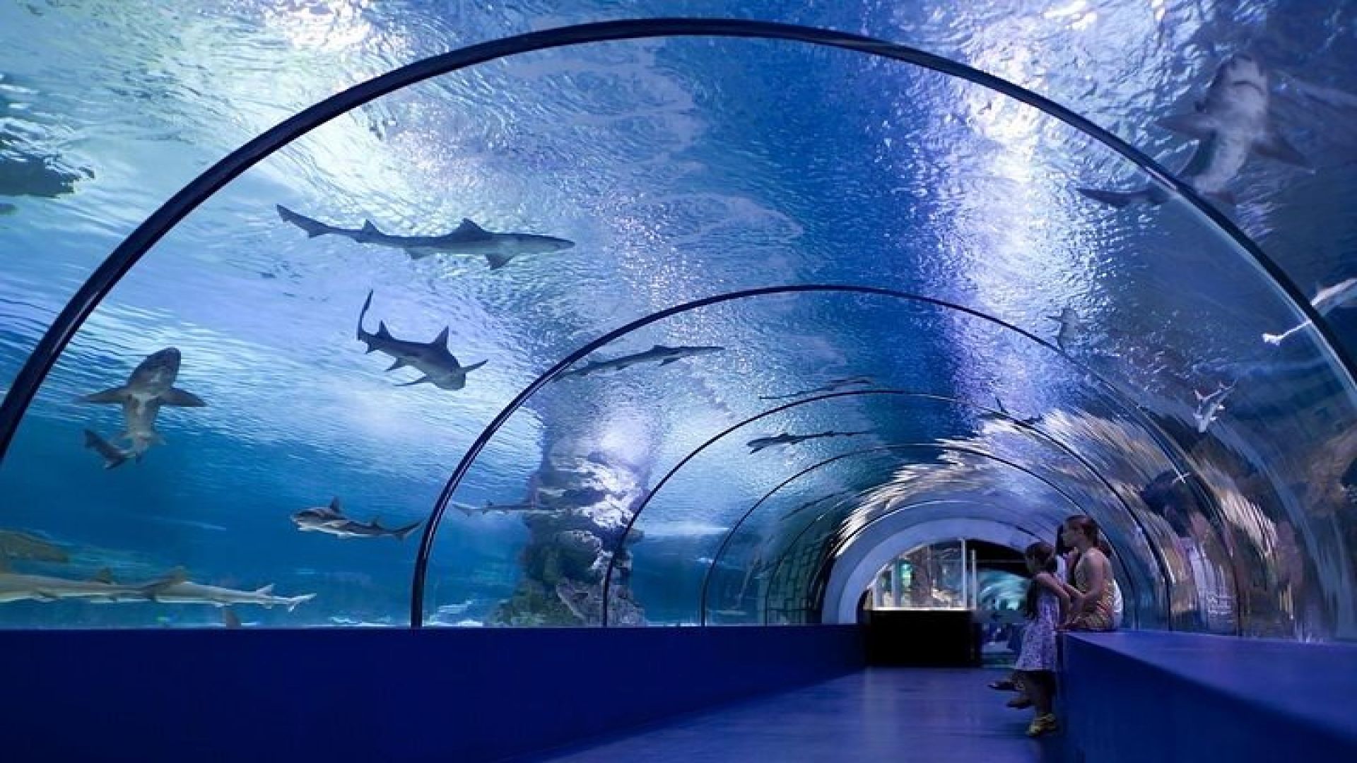 Antalya Aquarium and Face to Face Wax Museum Ticket