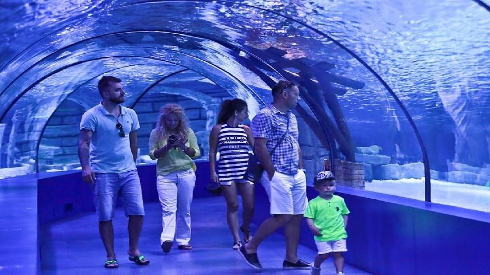 Antalya Aquarium and Face to Face Wax Museum Ticket