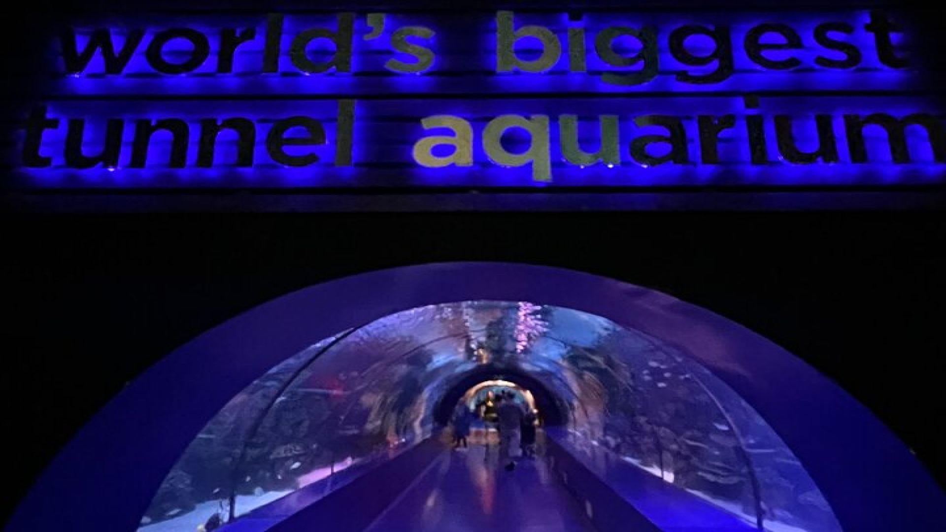 Antalya Aquarium and Face to Face Wax Museum Private Transfer