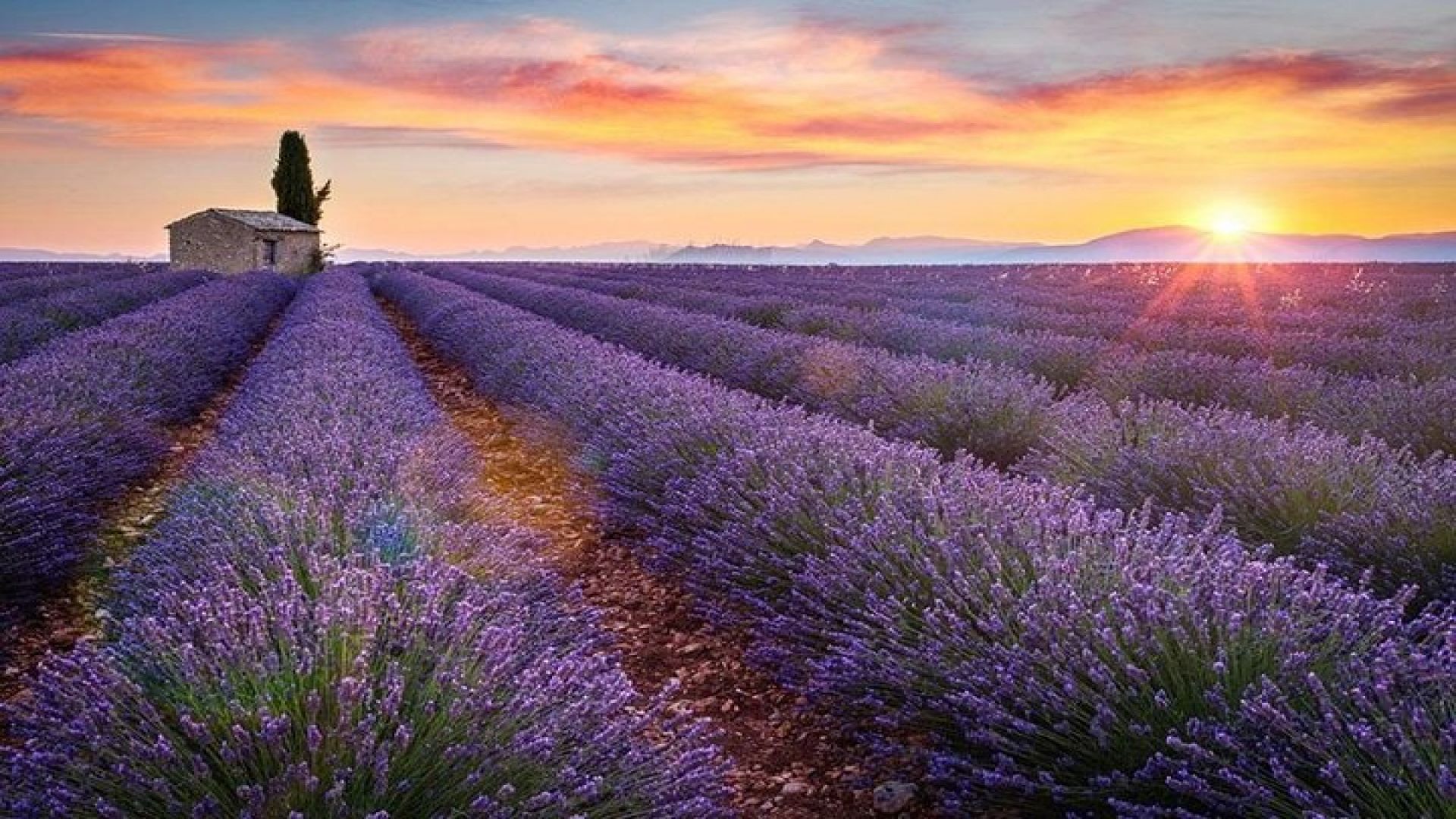Lavander Fields and Salda Lake from Antalya