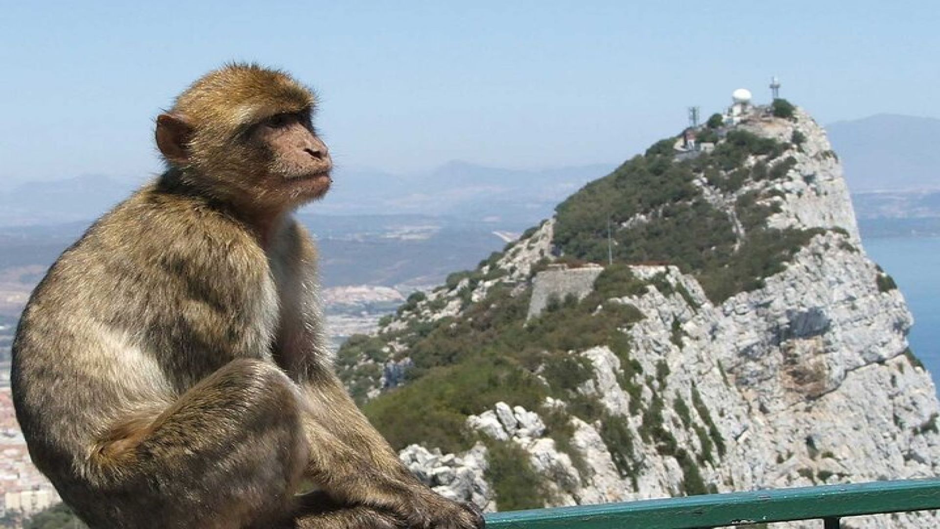 Gibraltar with St Michael Caves Guided Tour from Costa del Sol