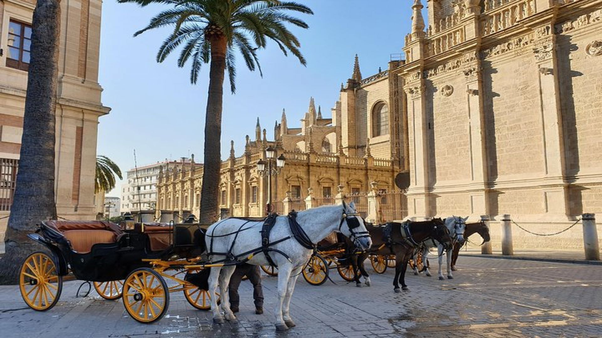 Sevilla Food Tour: Tapas, Wine, History & Traditions