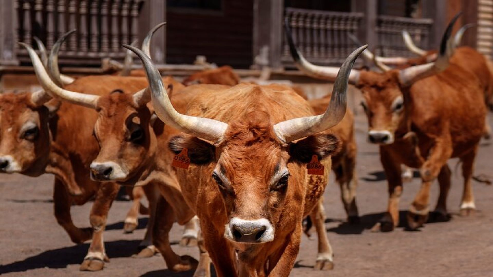 Sioux City Park Entrance Ticket