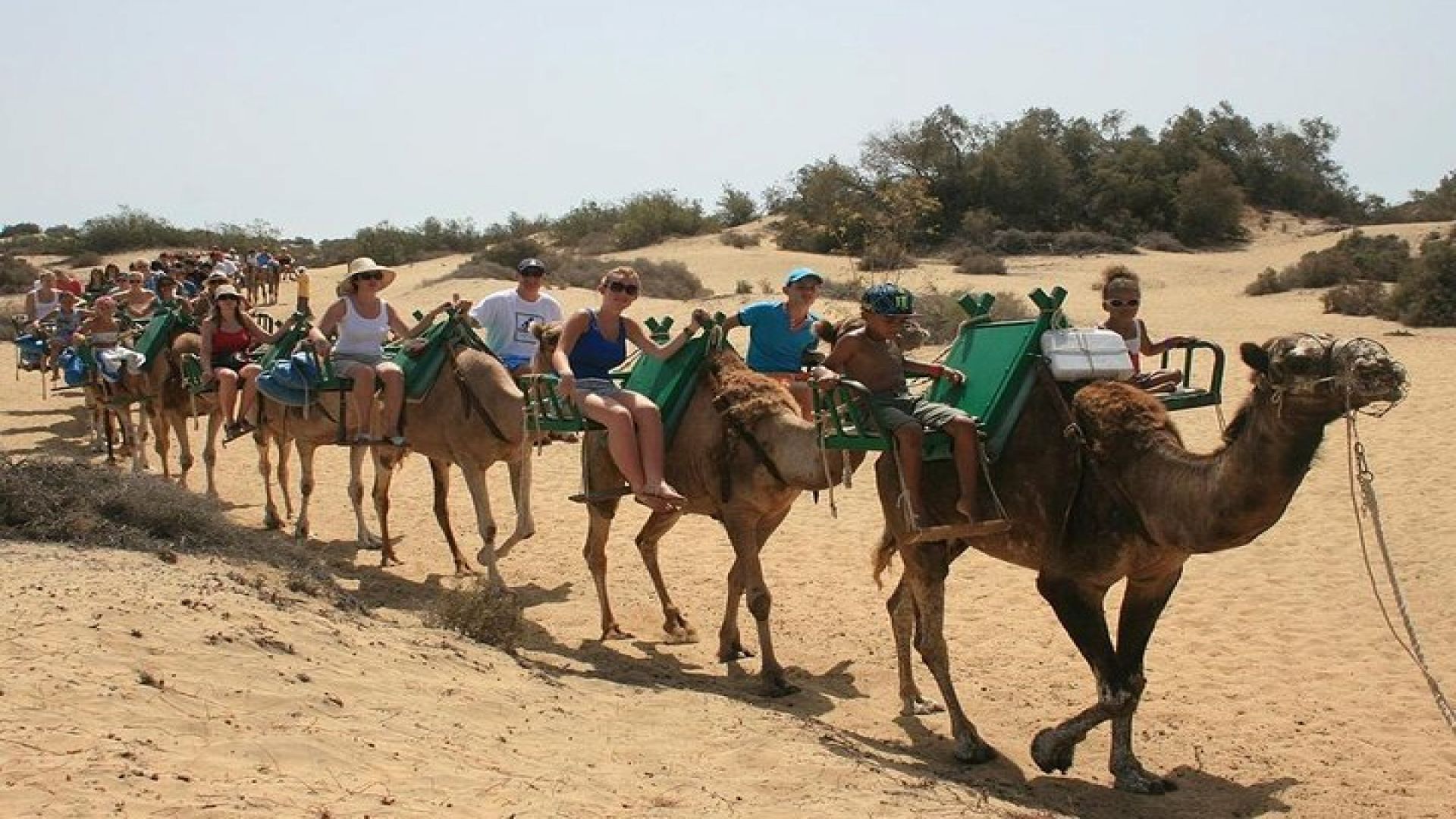 Camel Riding in Maspalomas Dunes