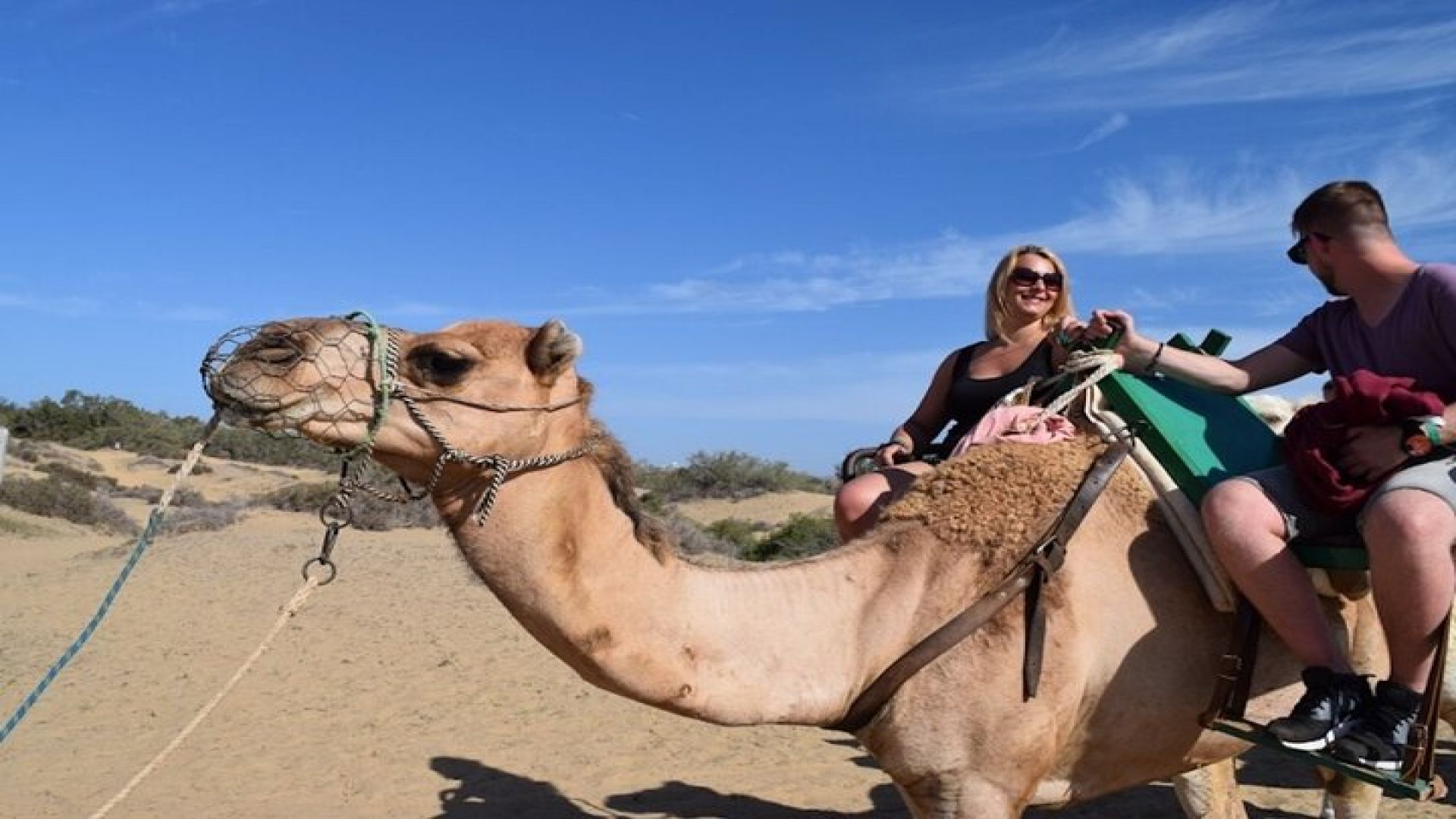 Camel Riding in Maspalomas Dunes