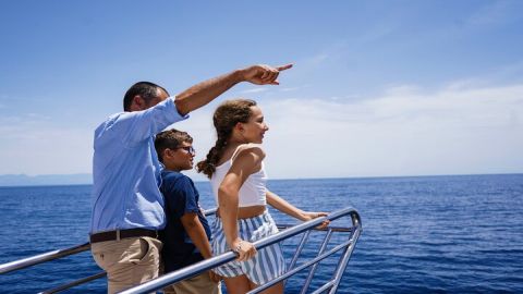 Dolphin Sightseeing Boat Tour from Benalmadena