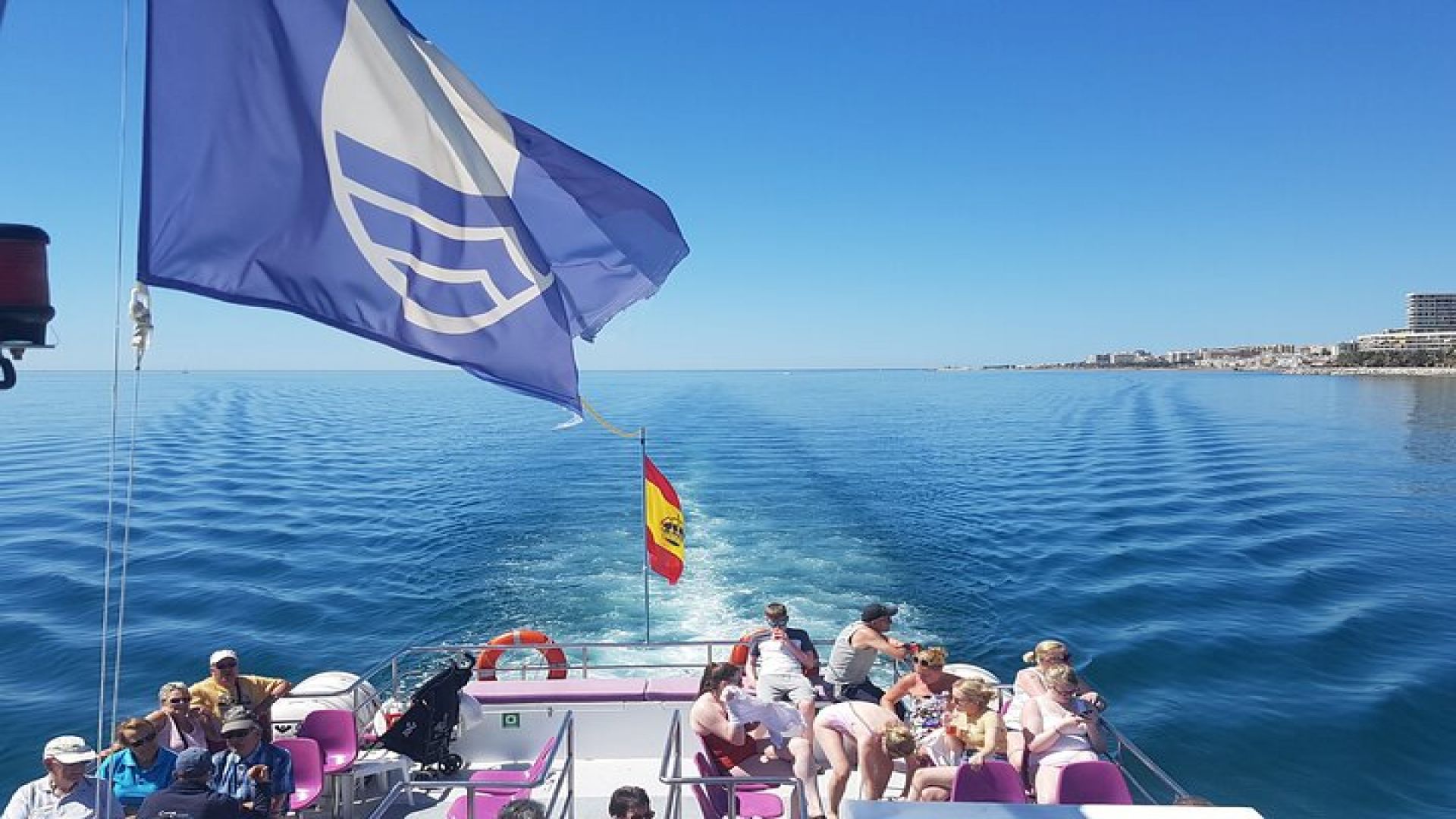 Dolphin Sightseeing Boat Tour from Benalmadena