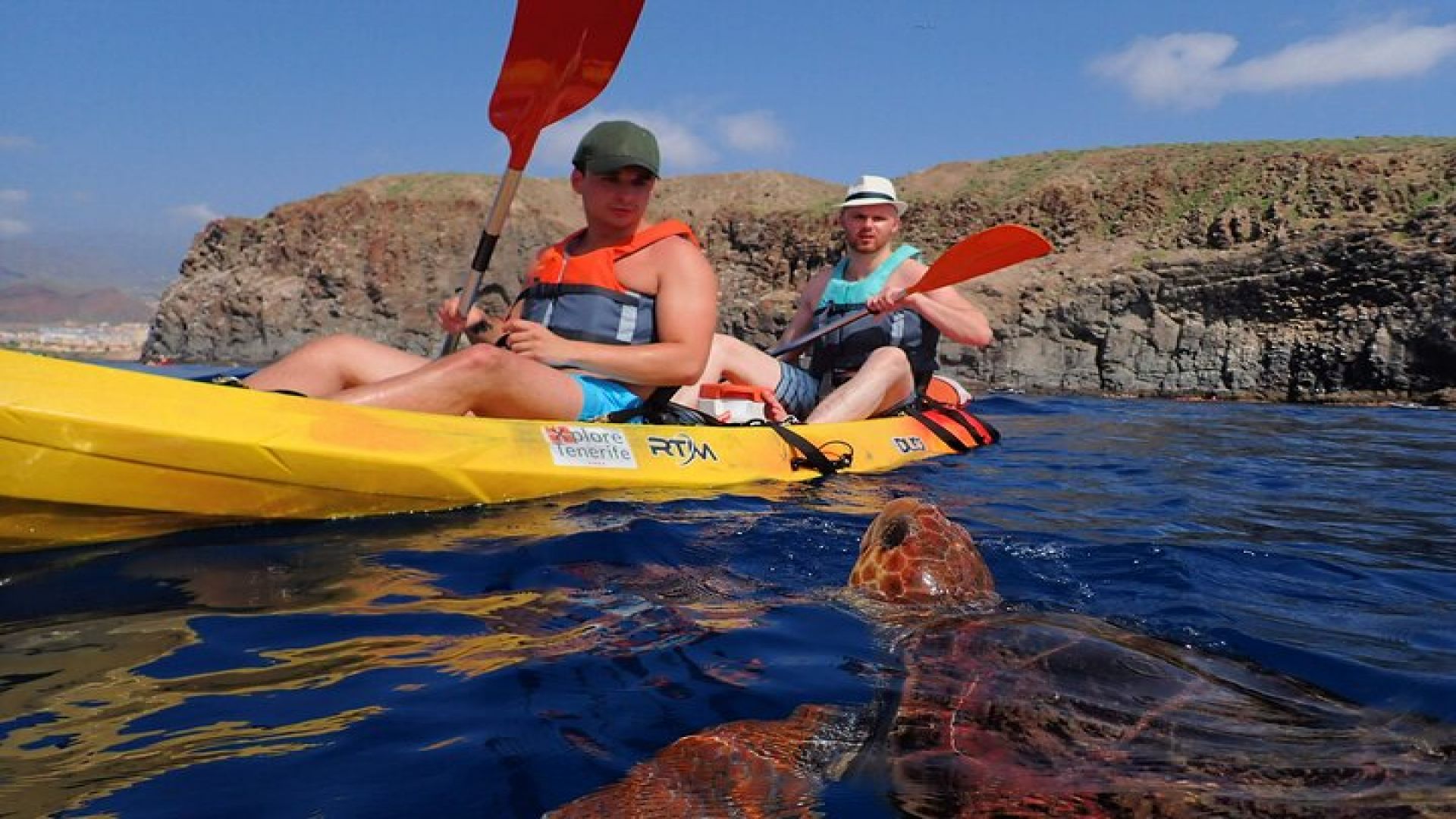 Tenerife : Kayak and Snorkel Tour with Dolphins & Turtles
