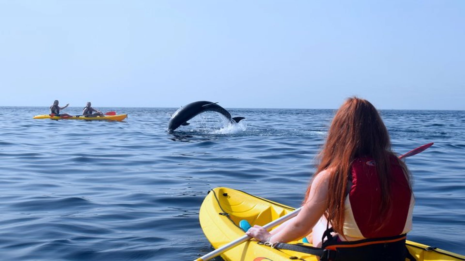 Tenerife : Kayak and Snorkel Tour with Dolphins & Turtles