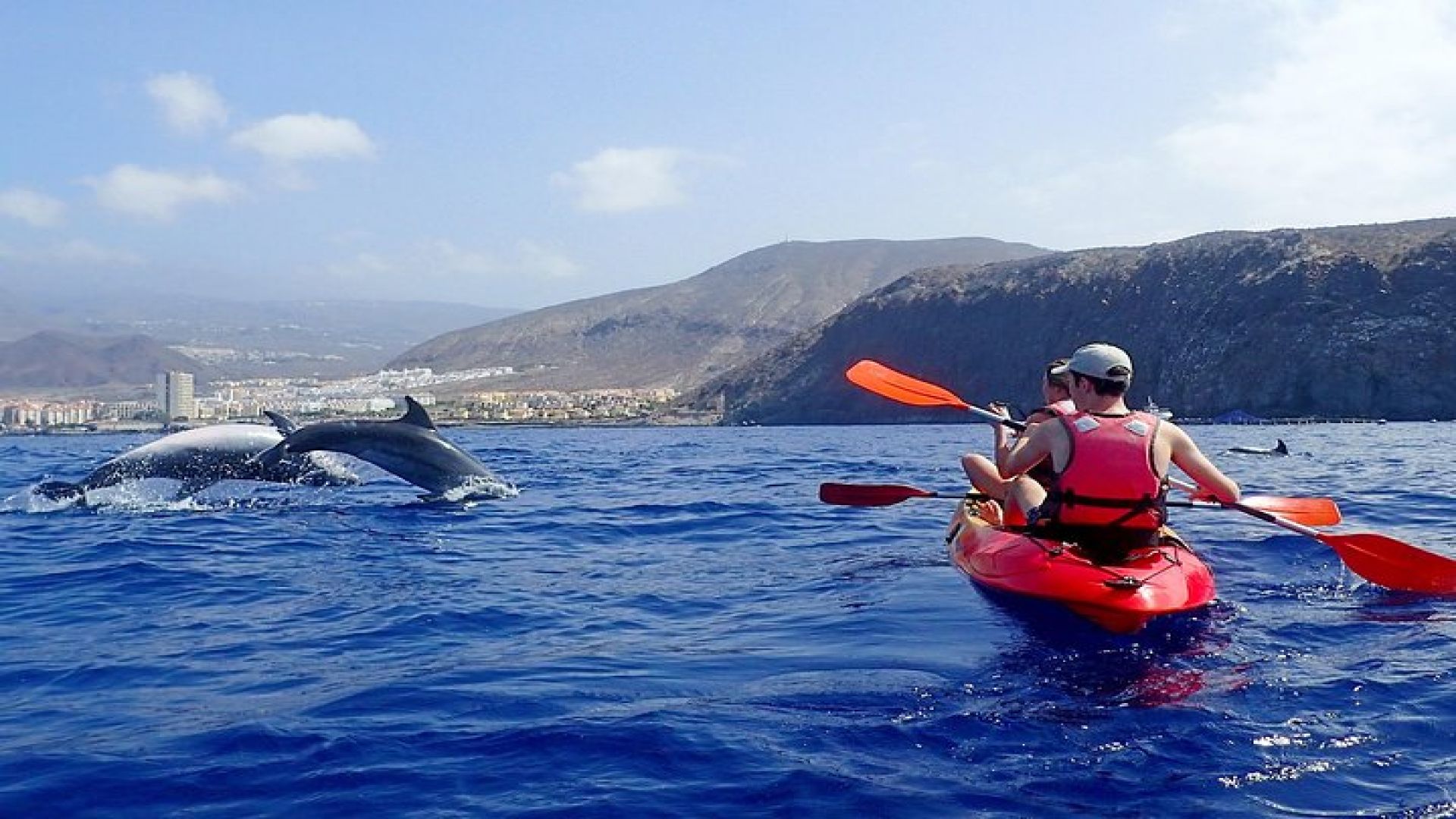 Tenerife : Kayak and Snorkel Tour with Dolphins & Turtles