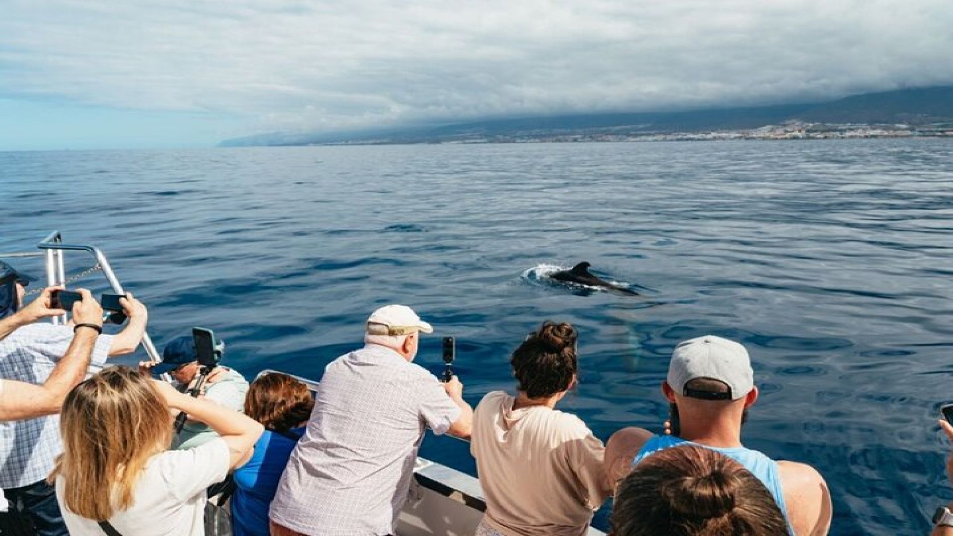 Tenerife Los Cristianos: Whale and Dolphin Eco-Yacht and Swim Stop